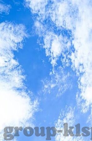 足球比分新浪网-深度解析，足球比分新浪网——球迷的实时数据宝库与观赛指南针